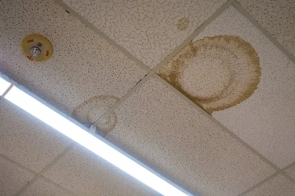 Water stain on a ceiling