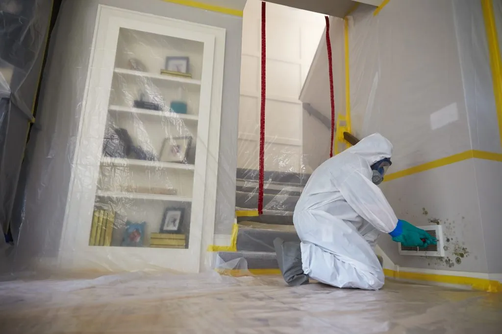 A technician in protective clothing treating an interior room