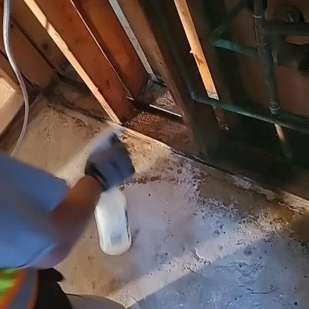 Technician spraying antimicrobial on exposed framing