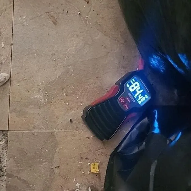 Moisture reading during an inspection