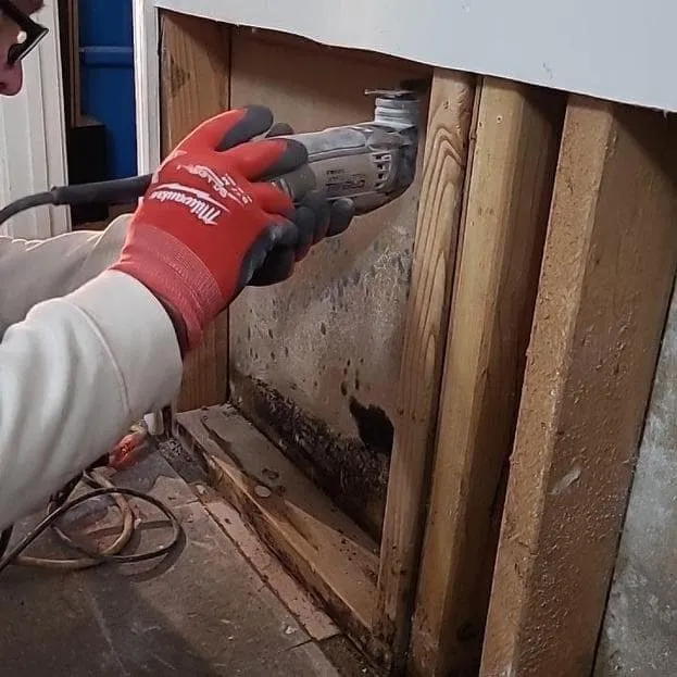 Gloved hands using a saw to cut out wet drywall