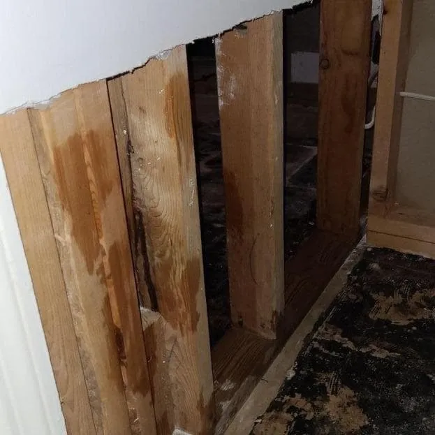 Laundry room wall opened after a leak