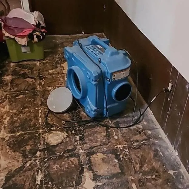 Air scrubber filtering a basement room
