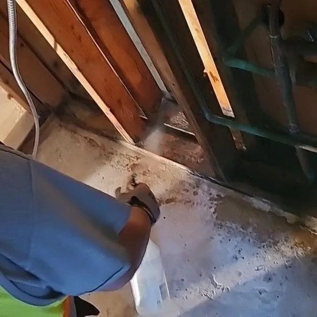 Antimicrobial applied to wood framing