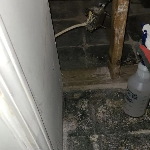 Treating basement framing