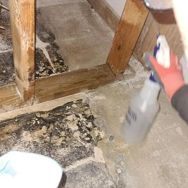 Treating cleaned framing