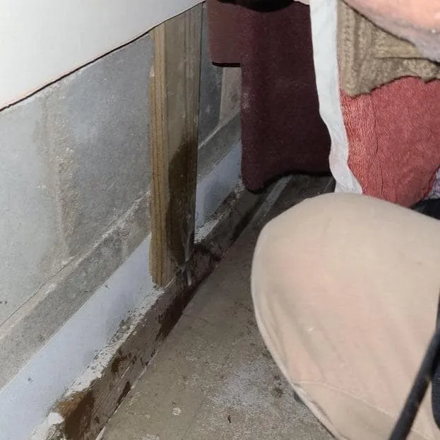 Technician inspecting the base of a wall