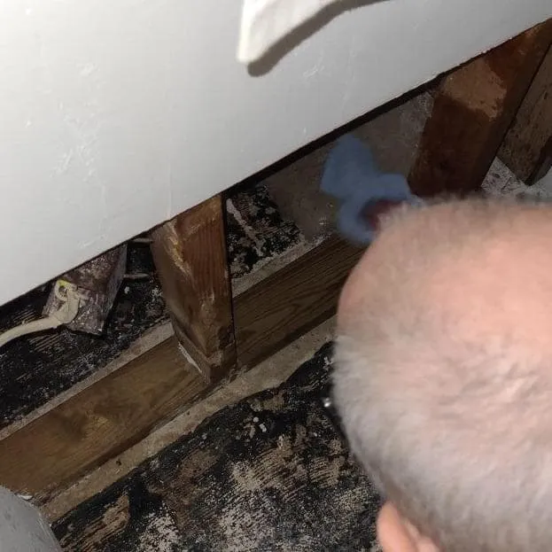 Technician treating framing low on the wall