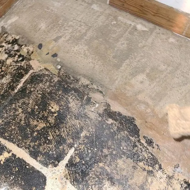 Treating surfaces near the ductwork