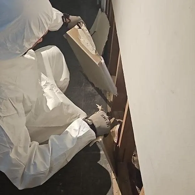 Technician in protective gear removing mold