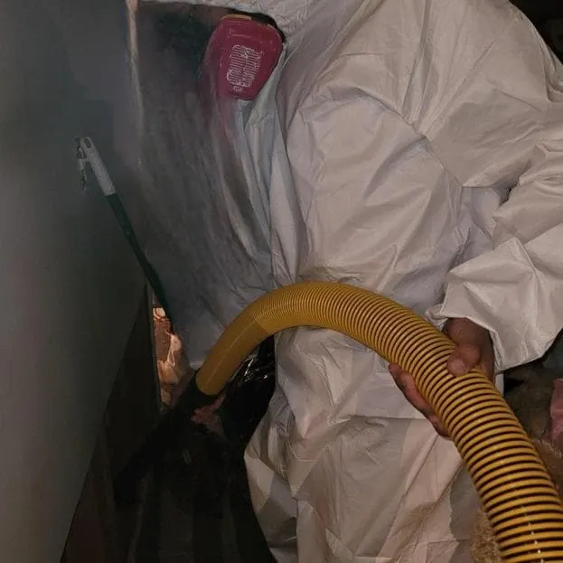 Technician in a Tyvek suit HEPA vacuuming a wall cavity