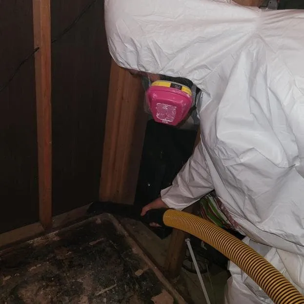 HEPA vacuuming a wall cavity