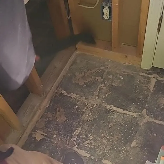 HEPA vacuuming the floor line