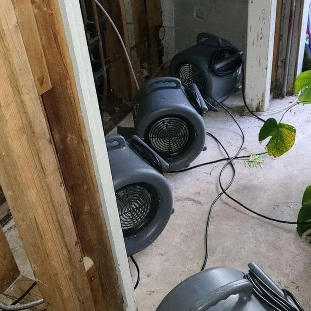 Air movers drying wall cavities