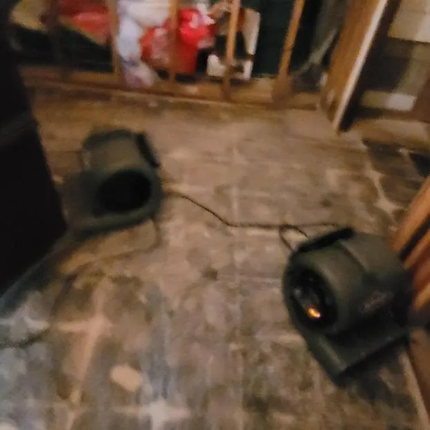 Air movers after mold removal