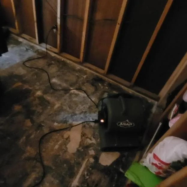 Drying equipment after removal
