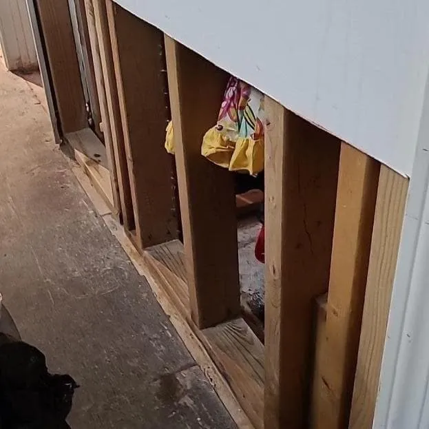Basement hallway with the bottom of the walls removed
