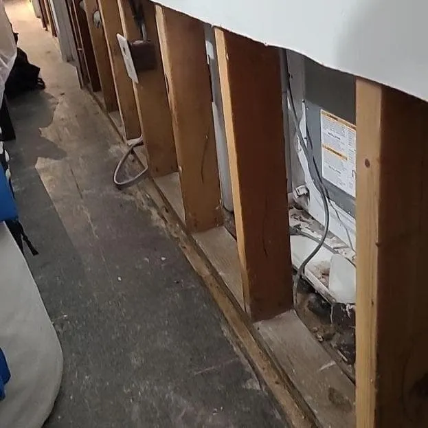 Basement wall cavities after removal