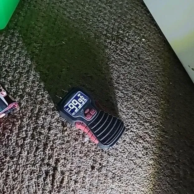 Moisture meter reading on wet carpet